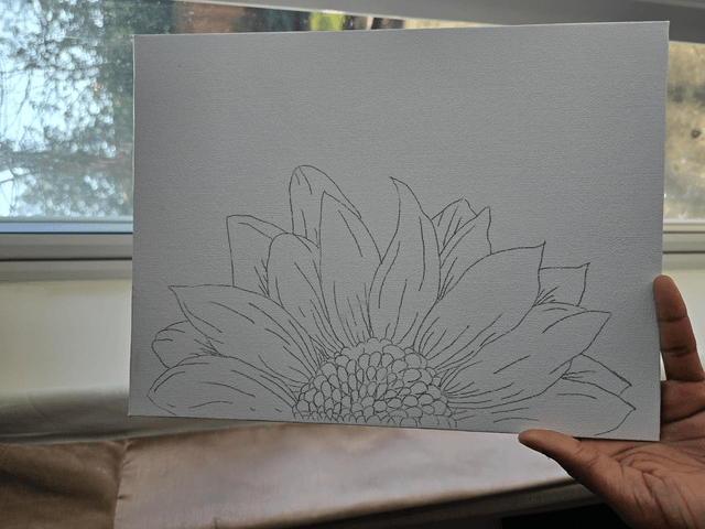 Sunflower Bloom Sketched Canvas 